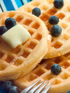 Toaster Waffle