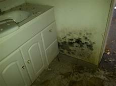 Water Heater